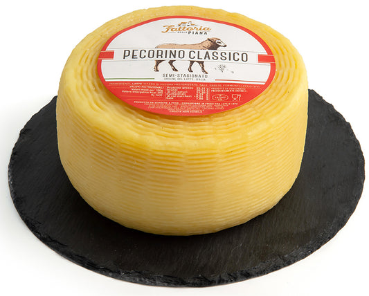 Klassischer Pecorino-Käse